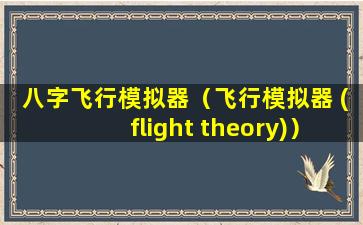 八字飞行模拟器（飞行模拟器 (flight theory)）